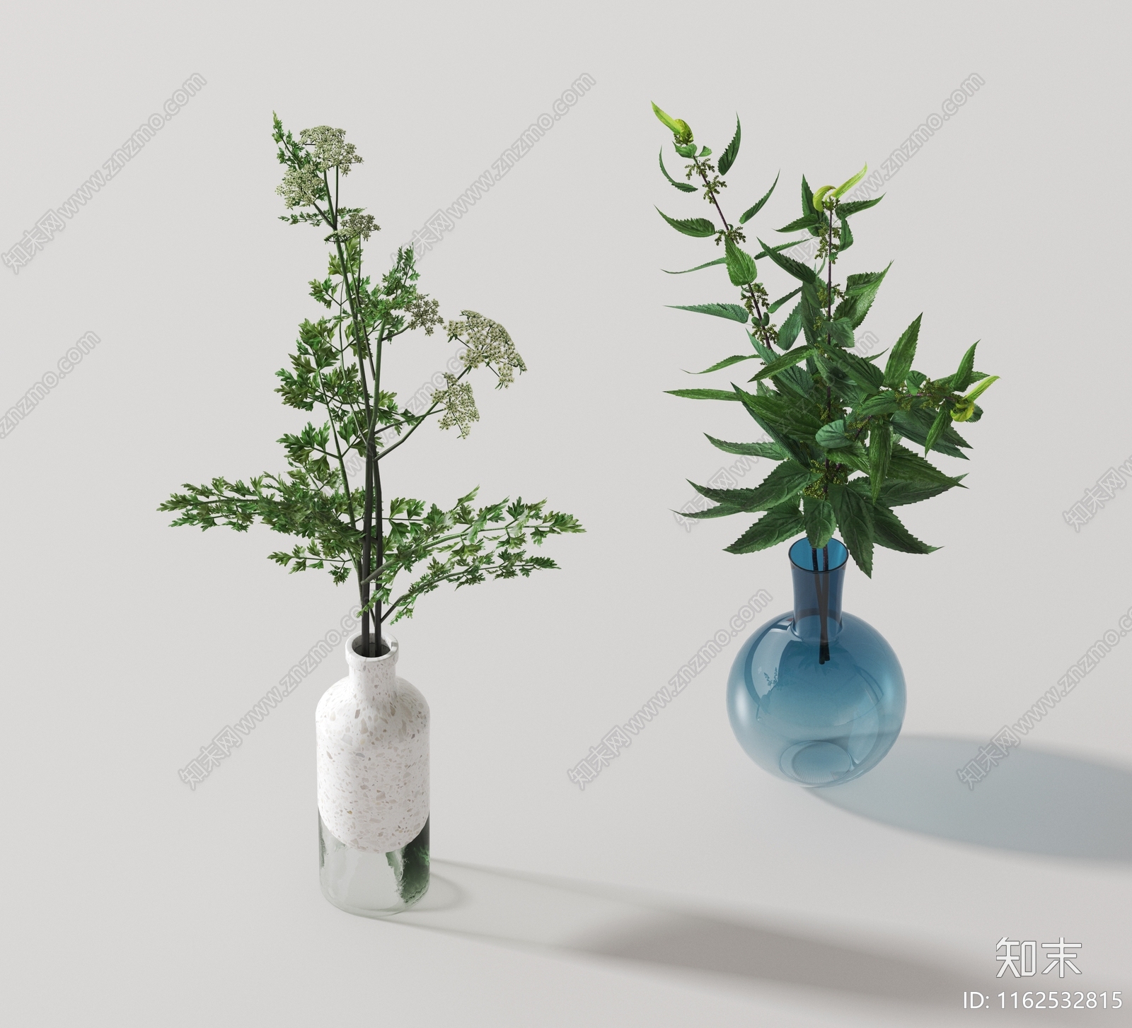 现代植物3D模型下载【ID:1162532815】