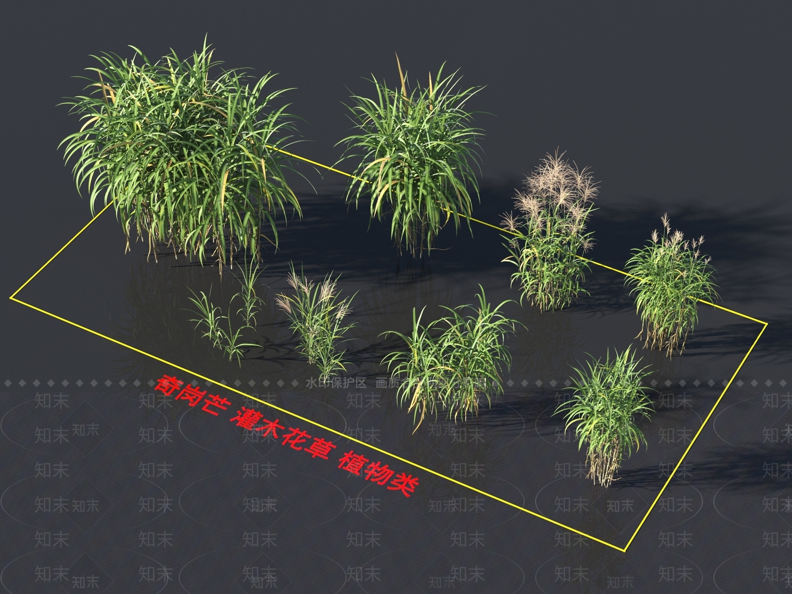 草3D模型下载【ID:1162550902】