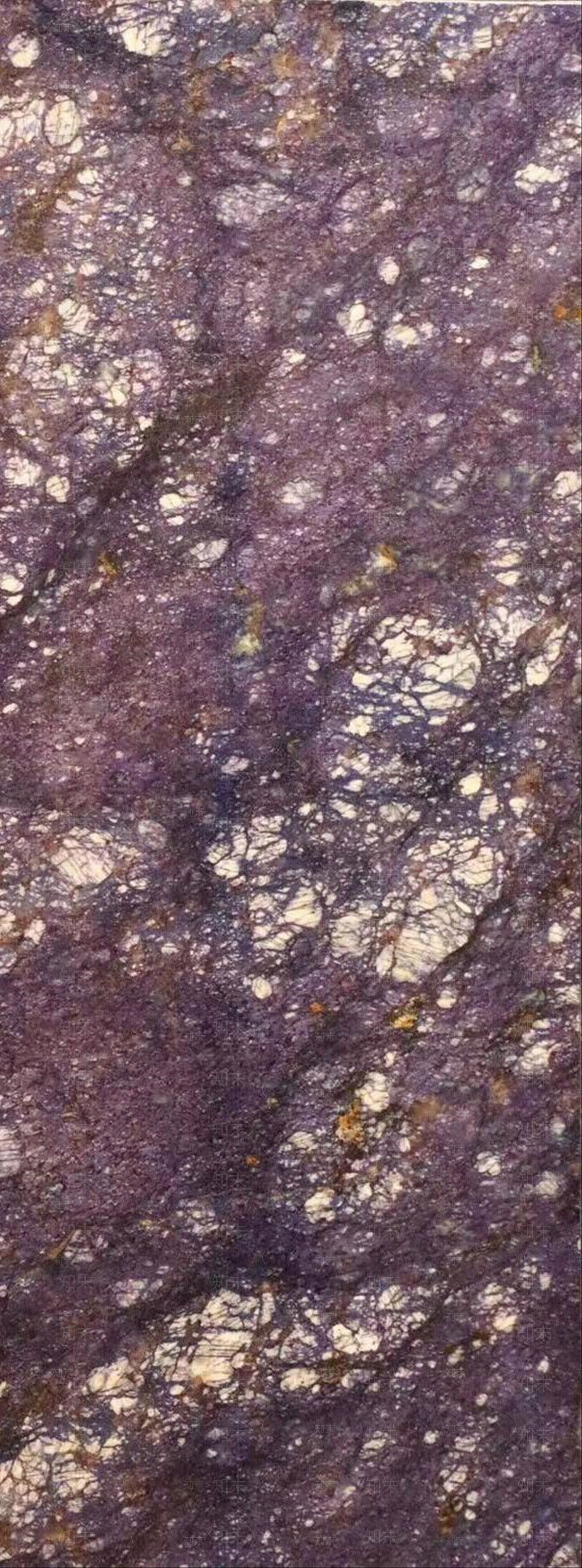 海洋之星花岗岩大理石大板贴图下载【ID:1162571290】