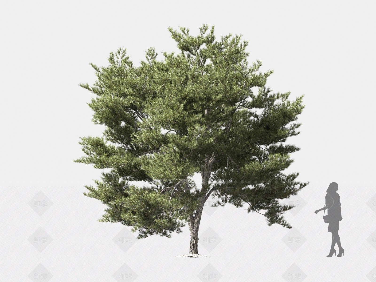 乔木3D模型下载【ID:1162575607】