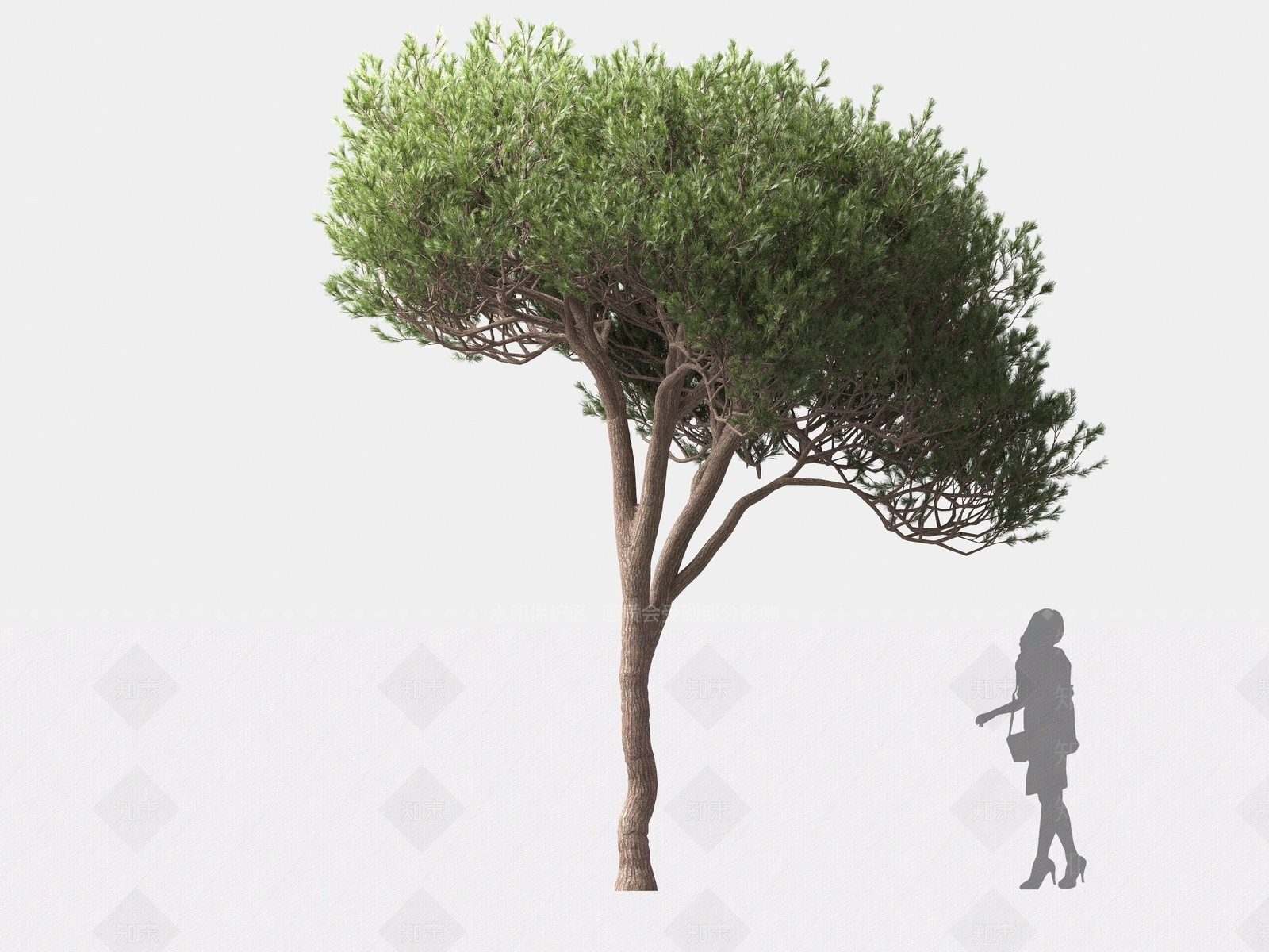 松树3D模型下载【ID:1162578147】