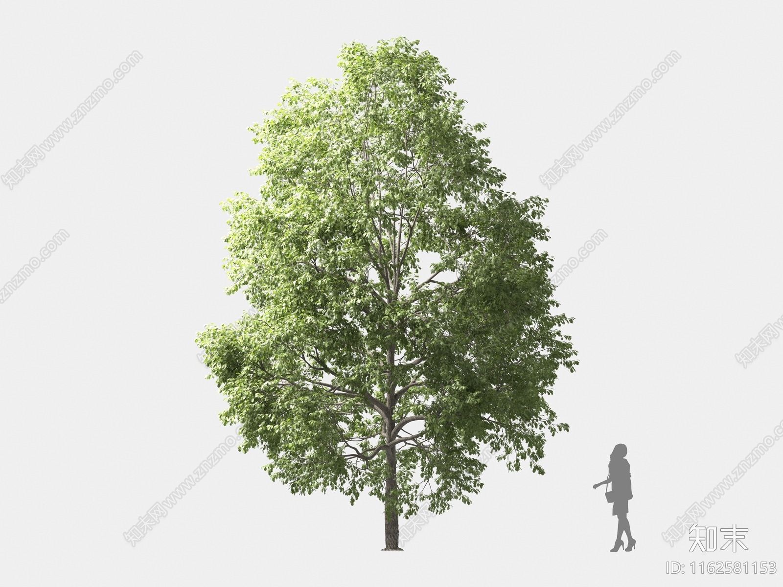 乔木3D模型下载【ID:1162581153】