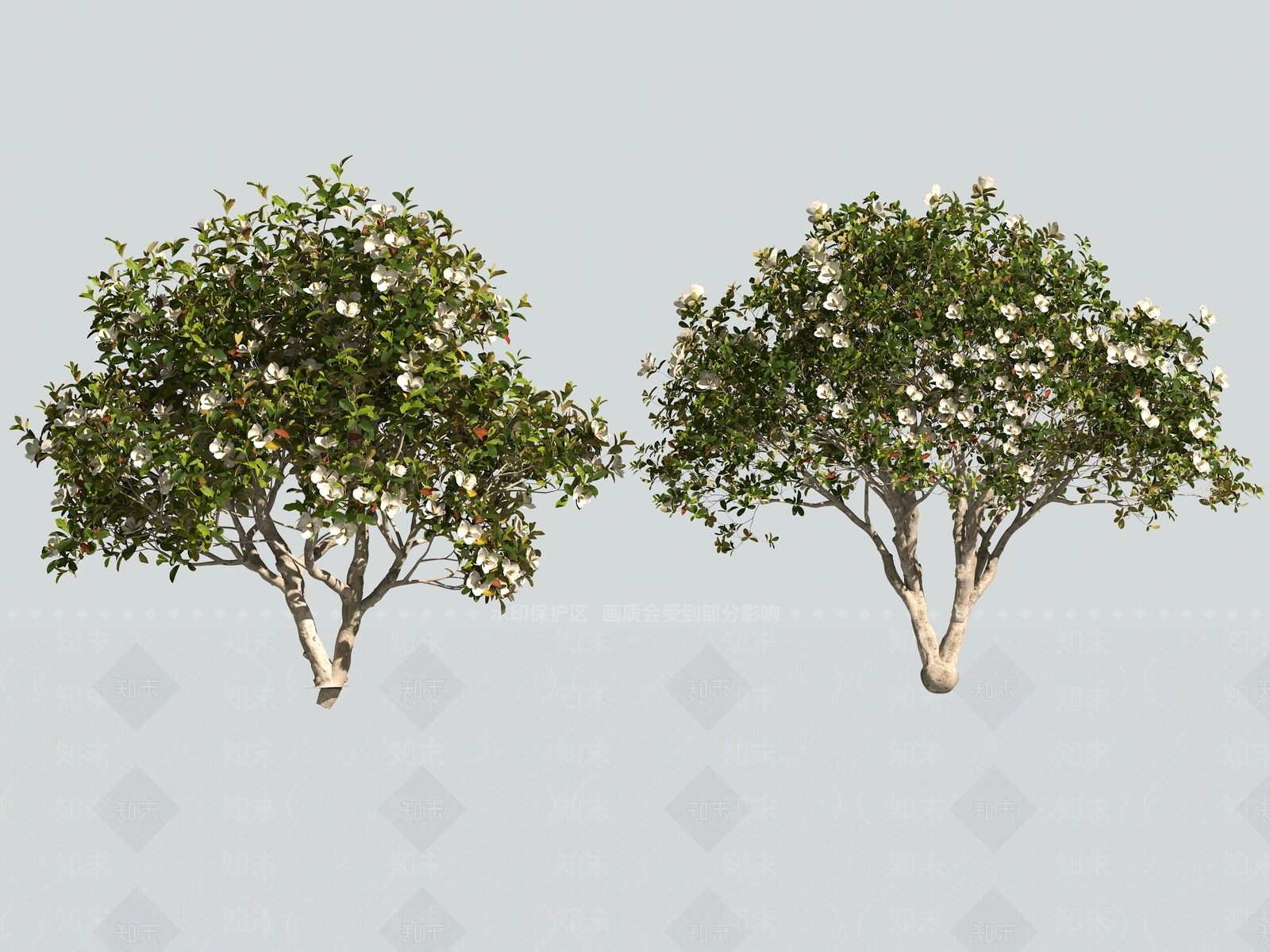 灌木3D模型下载【ID:1162595058】