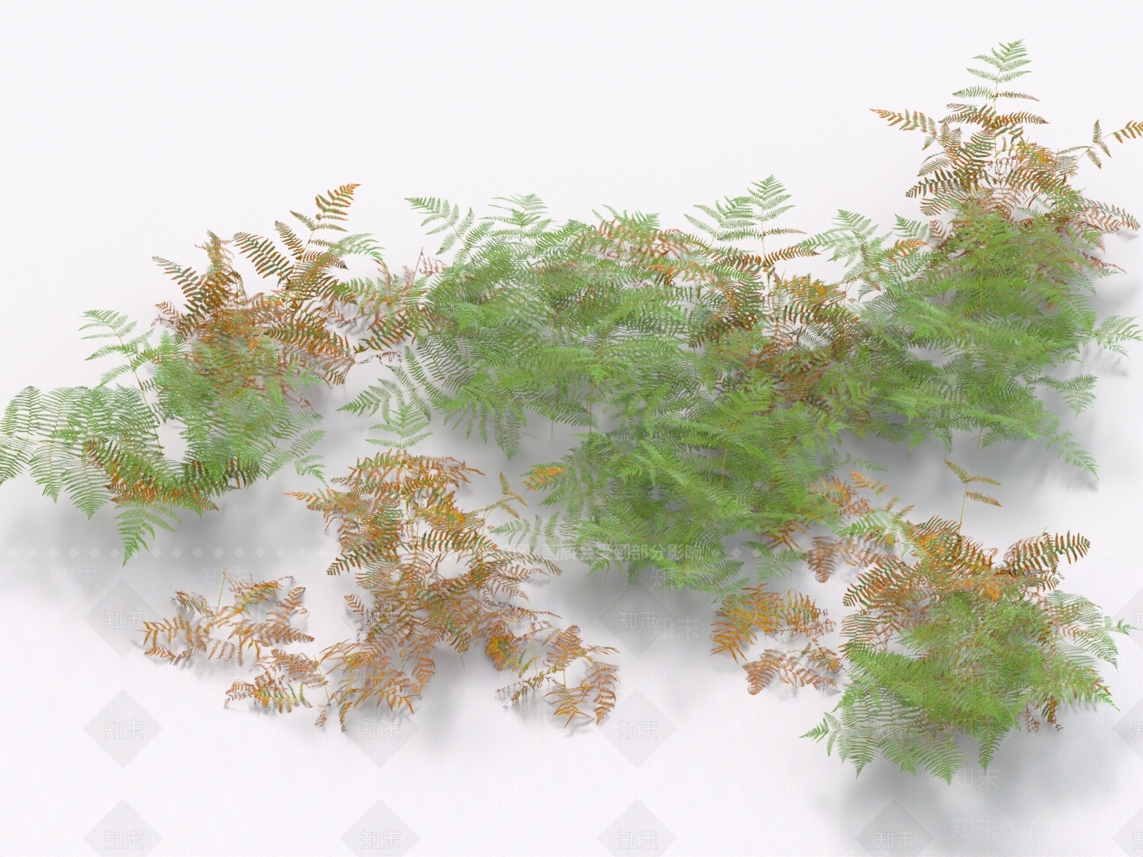 灌木3D模型下载【ID:1162607584】