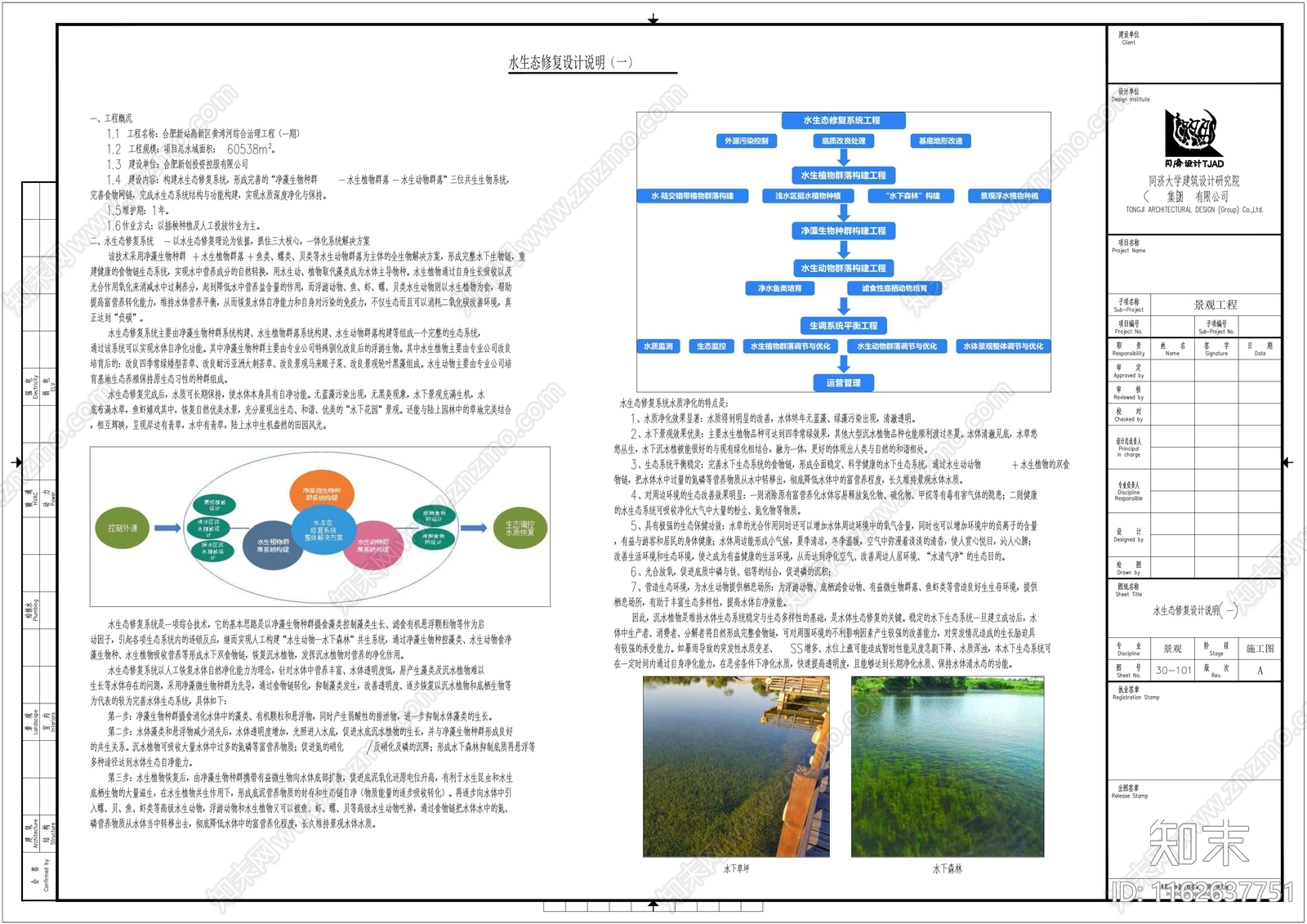 现代水生态修复系统生态修复植物修复施工图下载【ID:1162637751】