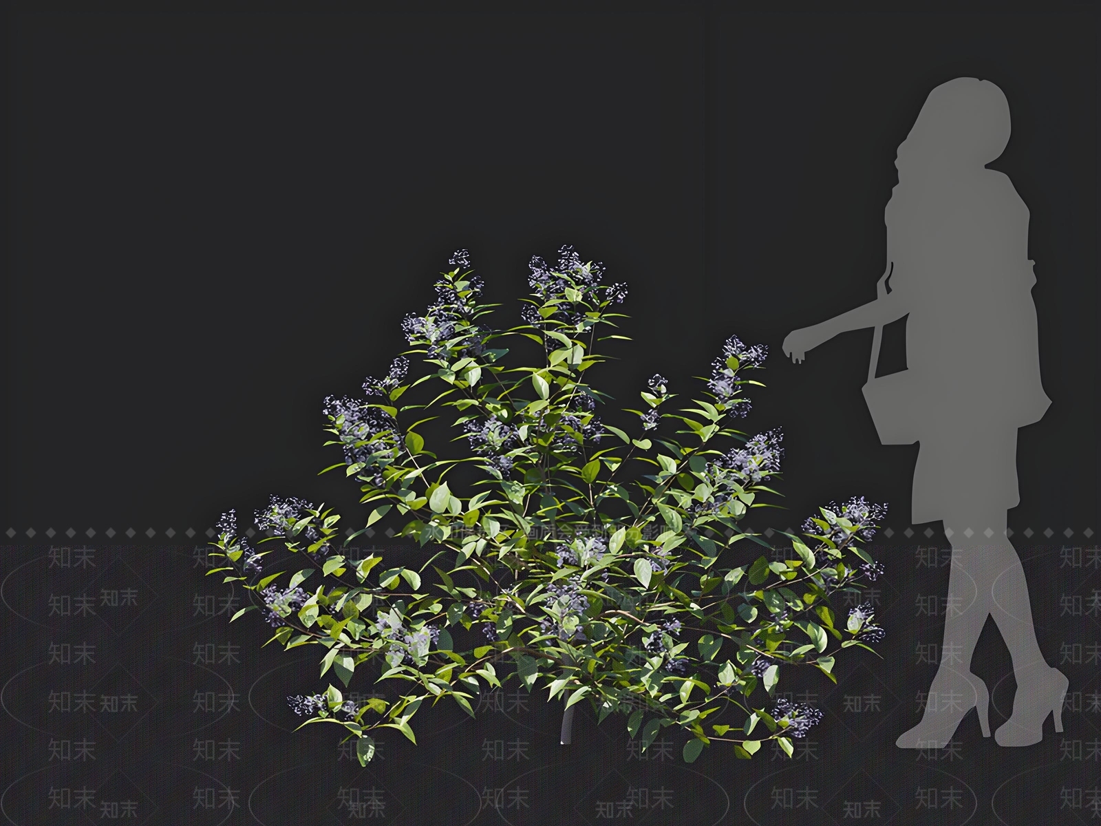 灌木3D模型下载【ID:1162664637】
