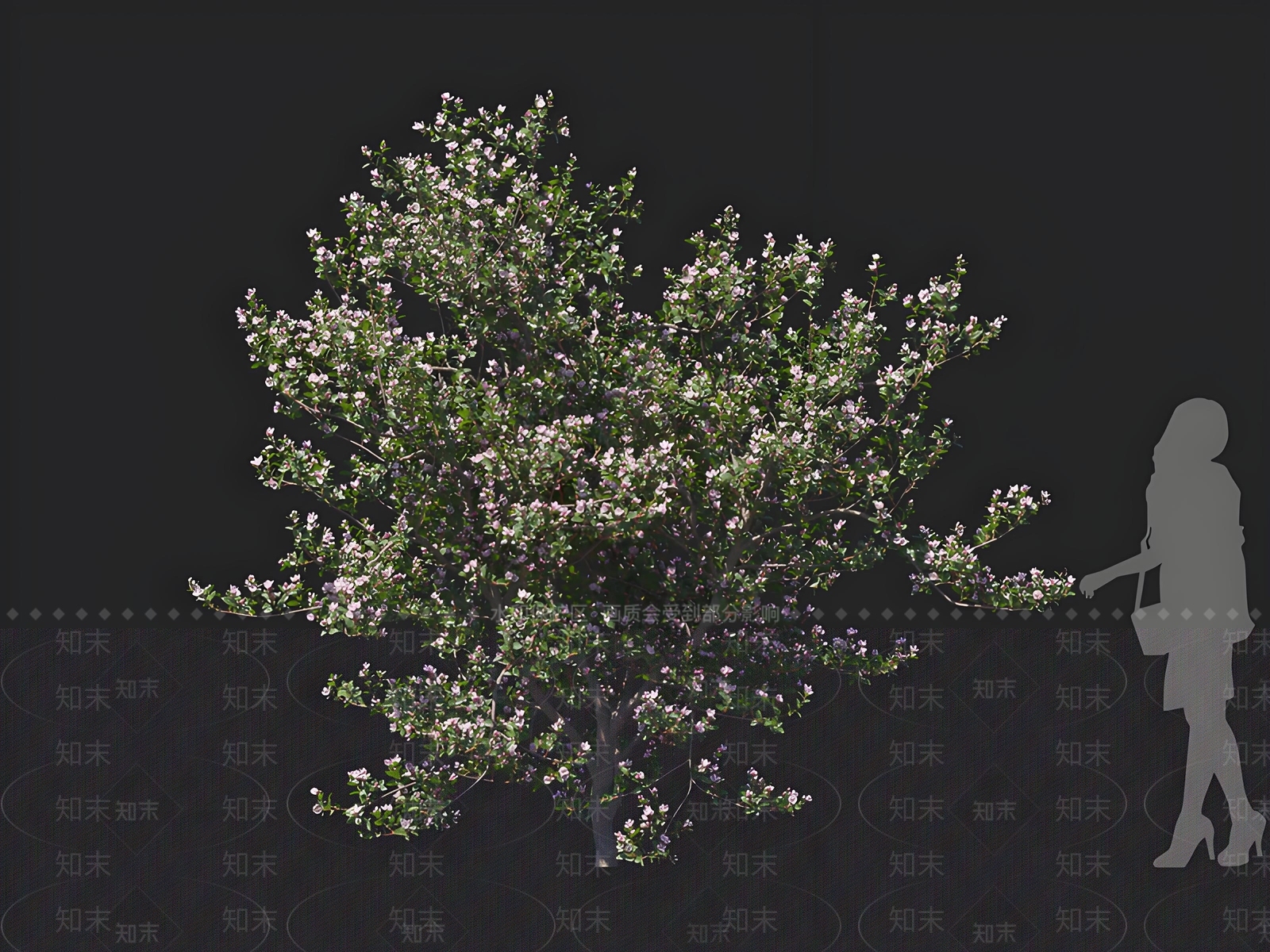 灌木3D模型下载【ID:1162667813】