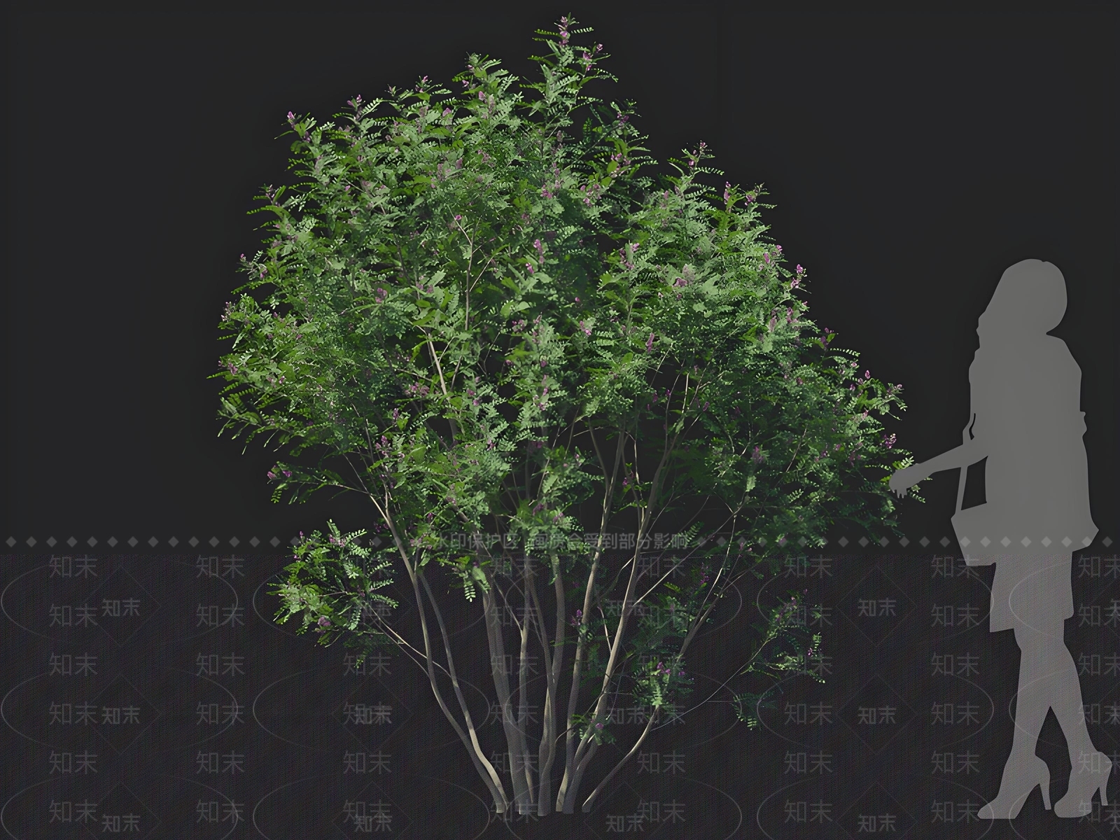 景观树3D模型下载【ID:1162672360】