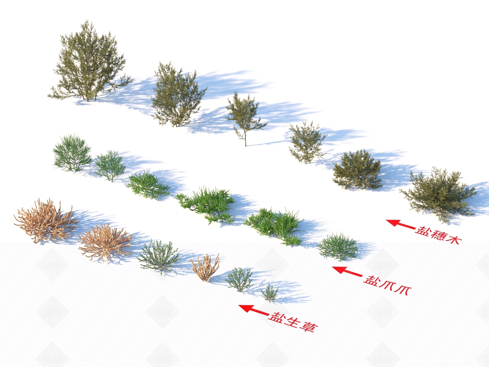 花草组合3D模型下载【ID:1162694110】