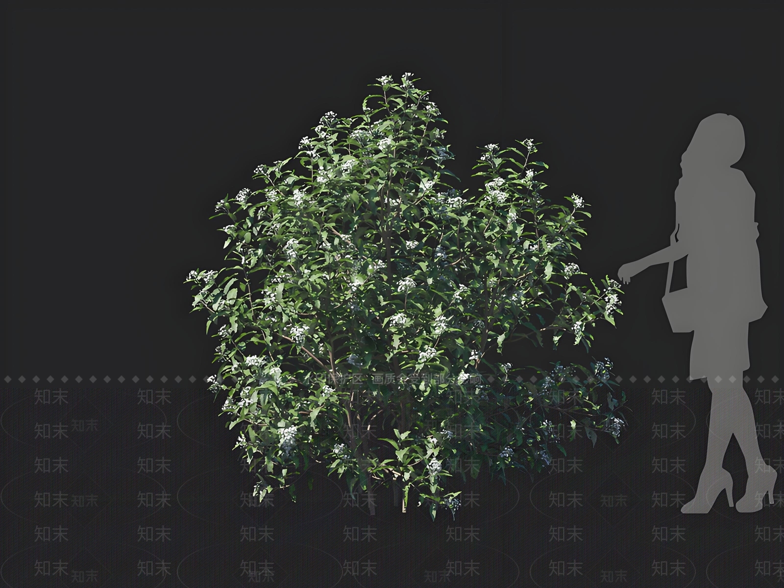 灌木3D模型下载【ID:1162706311】