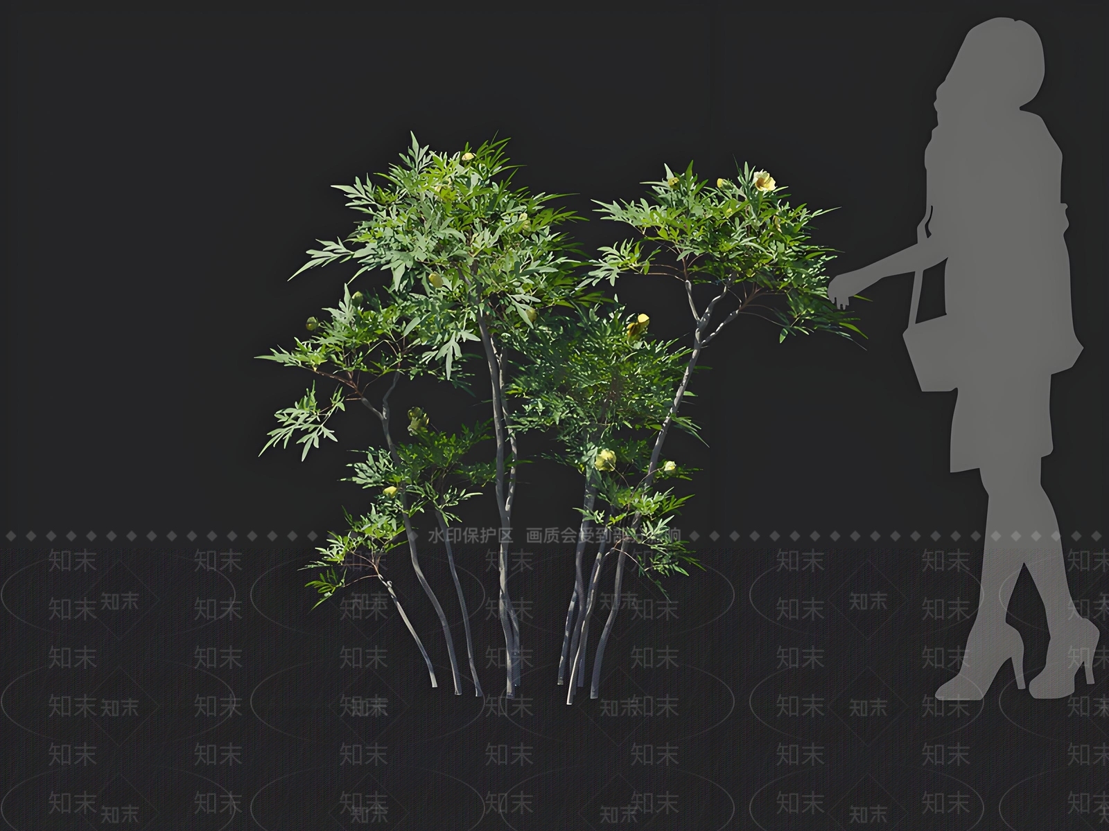 灌木3D模型下载【ID:1162706656】