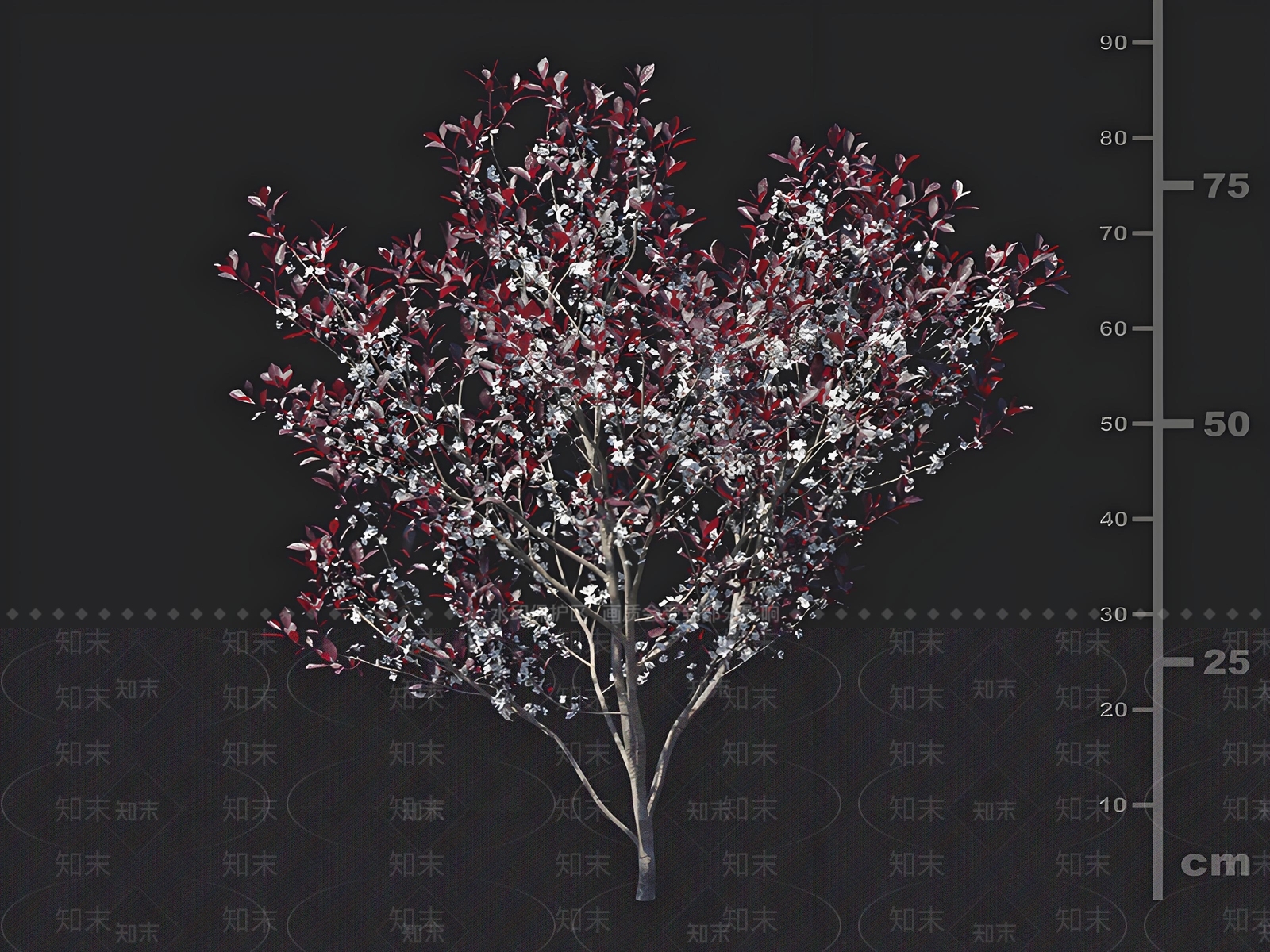 乔木3D模型下载【ID:1162706930】