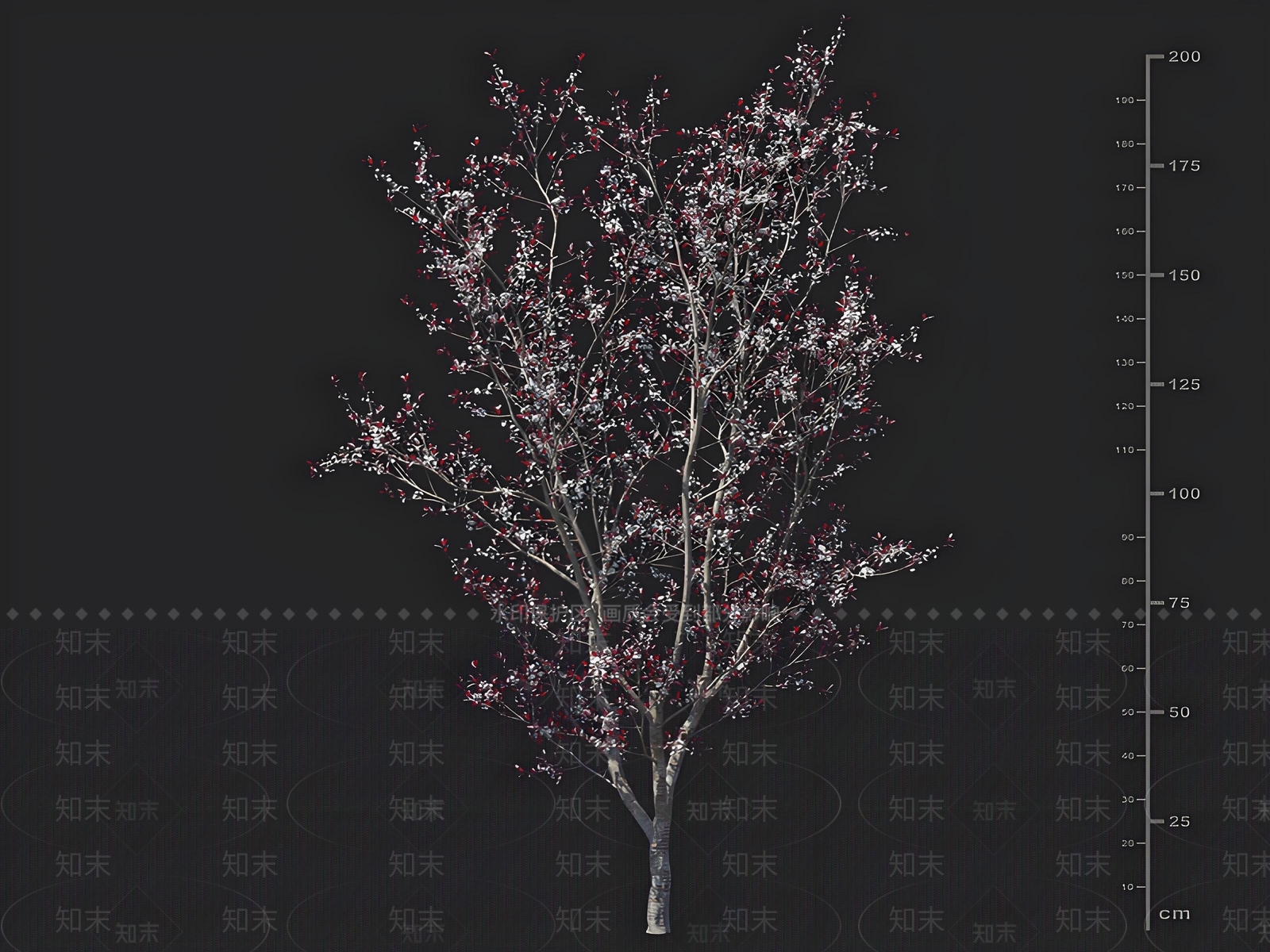 乔木3D模型下载【ID:1162707139】