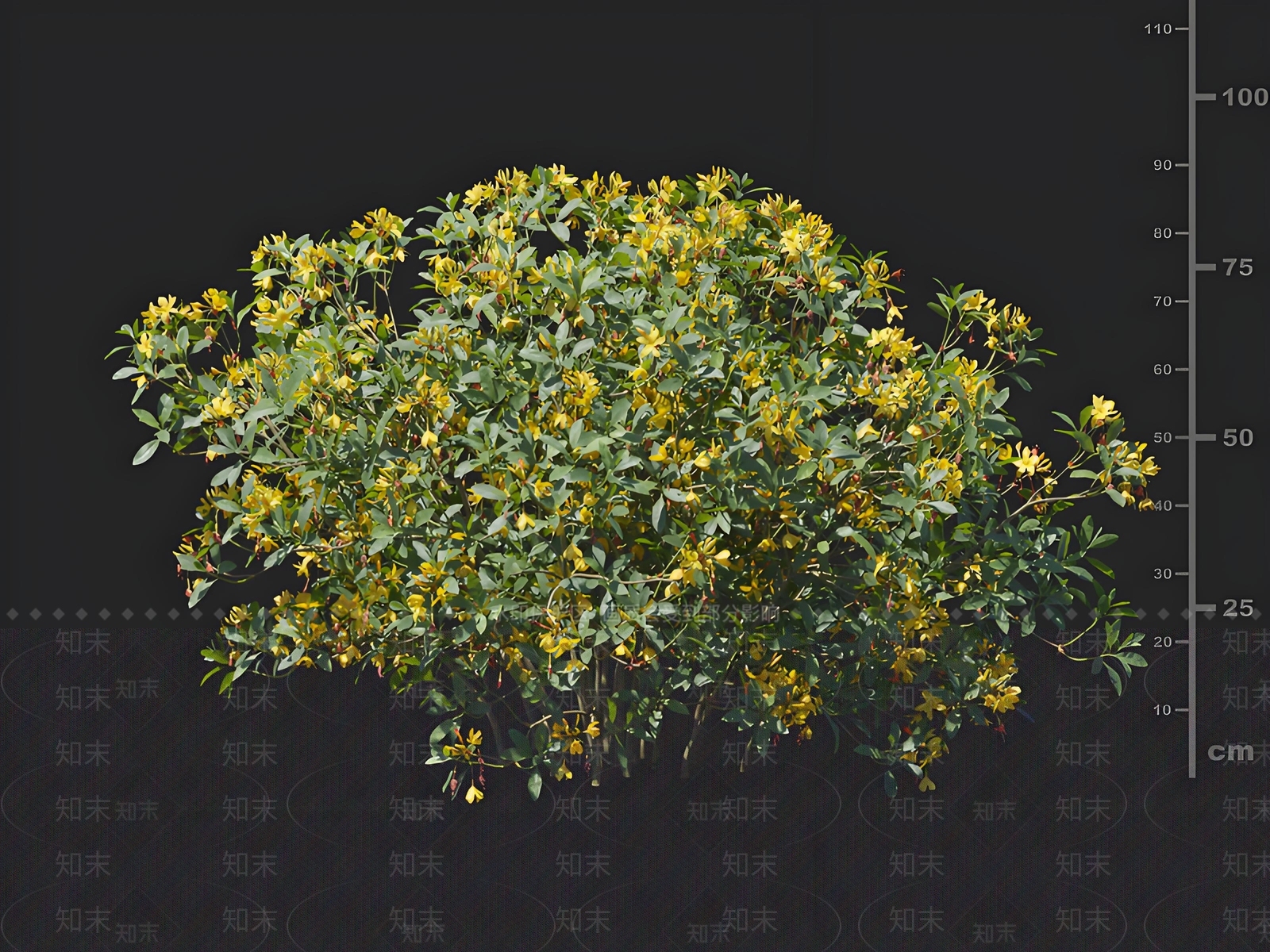 灌木3D模型下载【ID:1162708184】