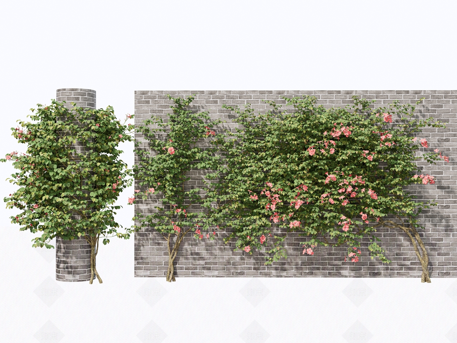 藤蔓3D模型下载【ID:1162750387】