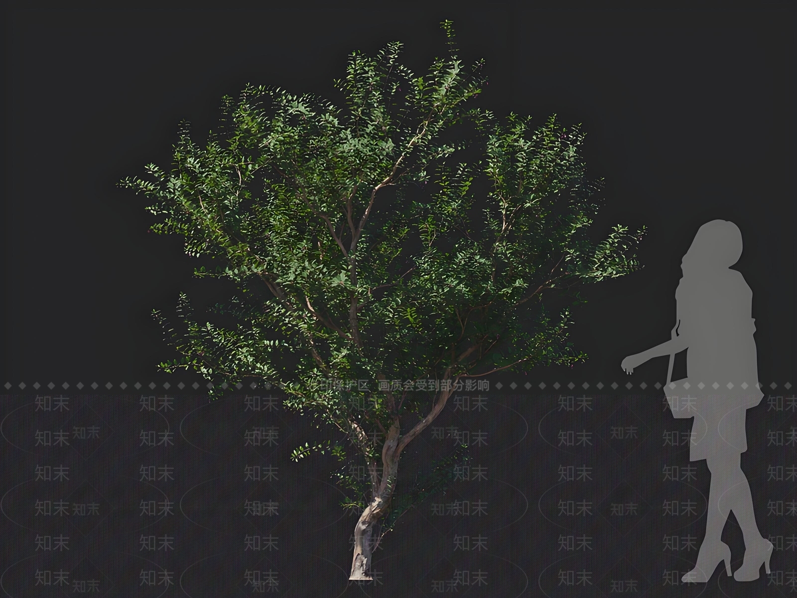 乔木3D模型下载【ID:1162767193】