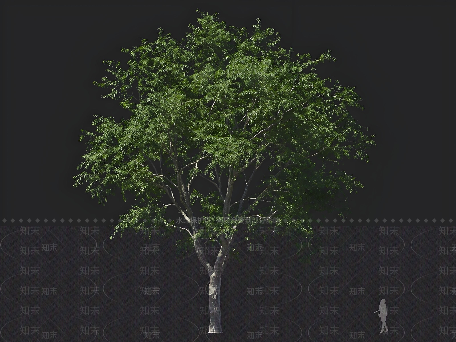 乔木3D模型下载【ID:1162768033】