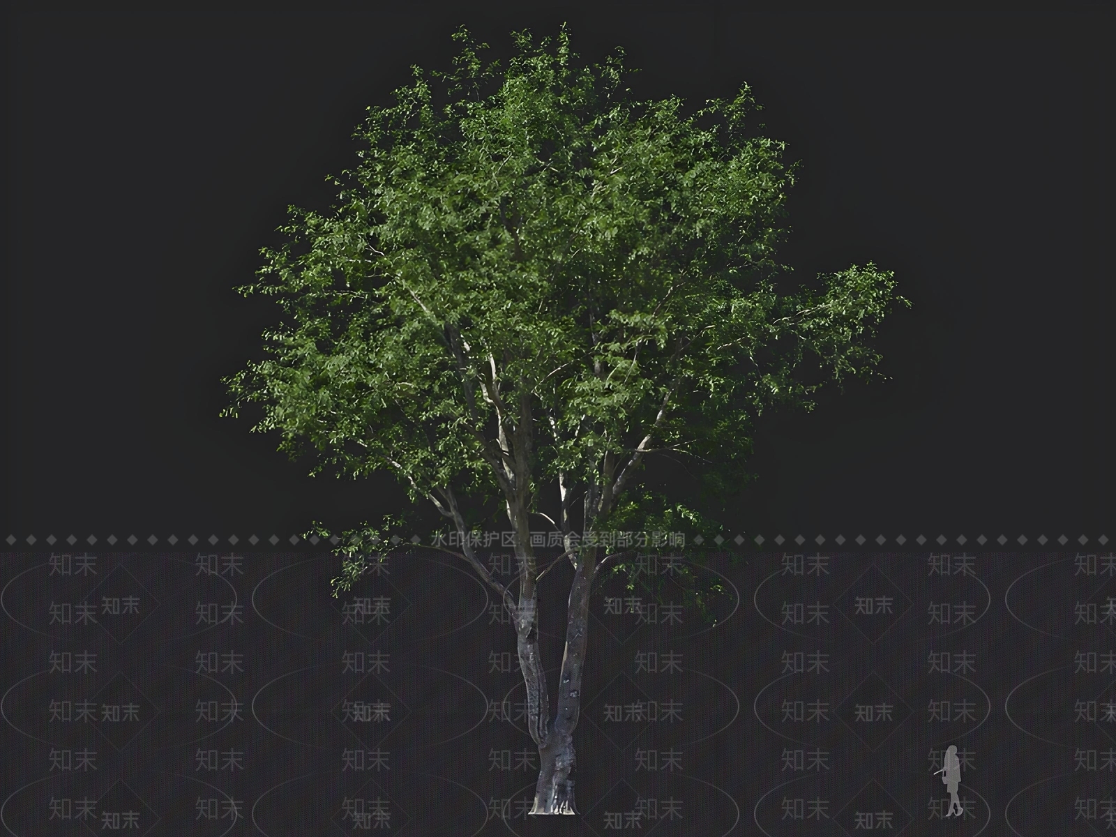 乔木3D模型下载【ID:1162768131】
