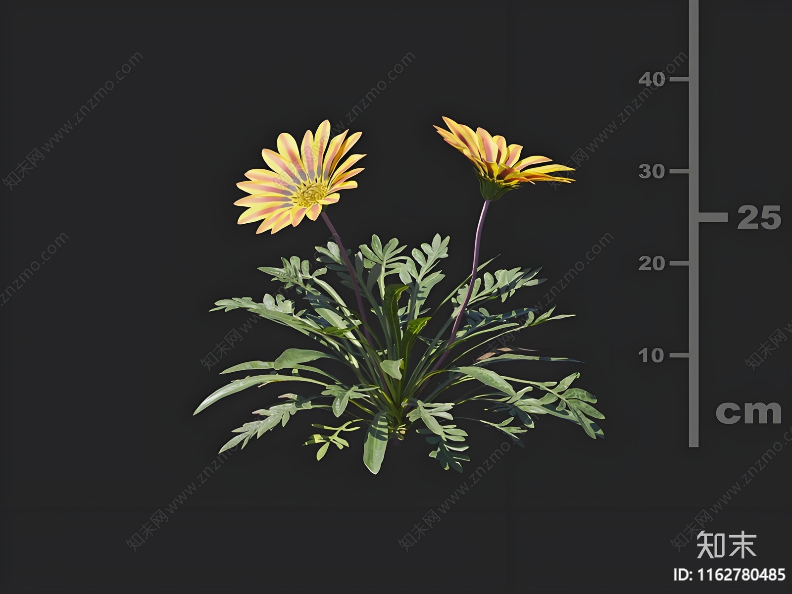 花3D模型下载【ID:1162780485】