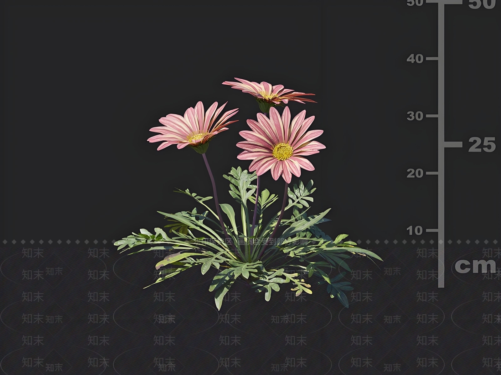 花3D模型下载【ID:1162780630】