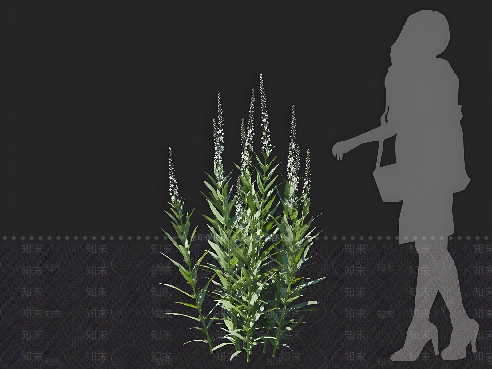 草3D模型下载【ID:1162781453】