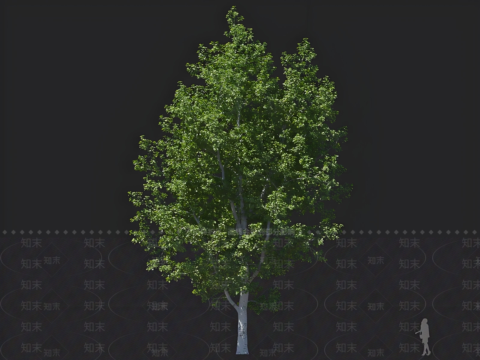 乔木3D模型下载【ID:1162811500】