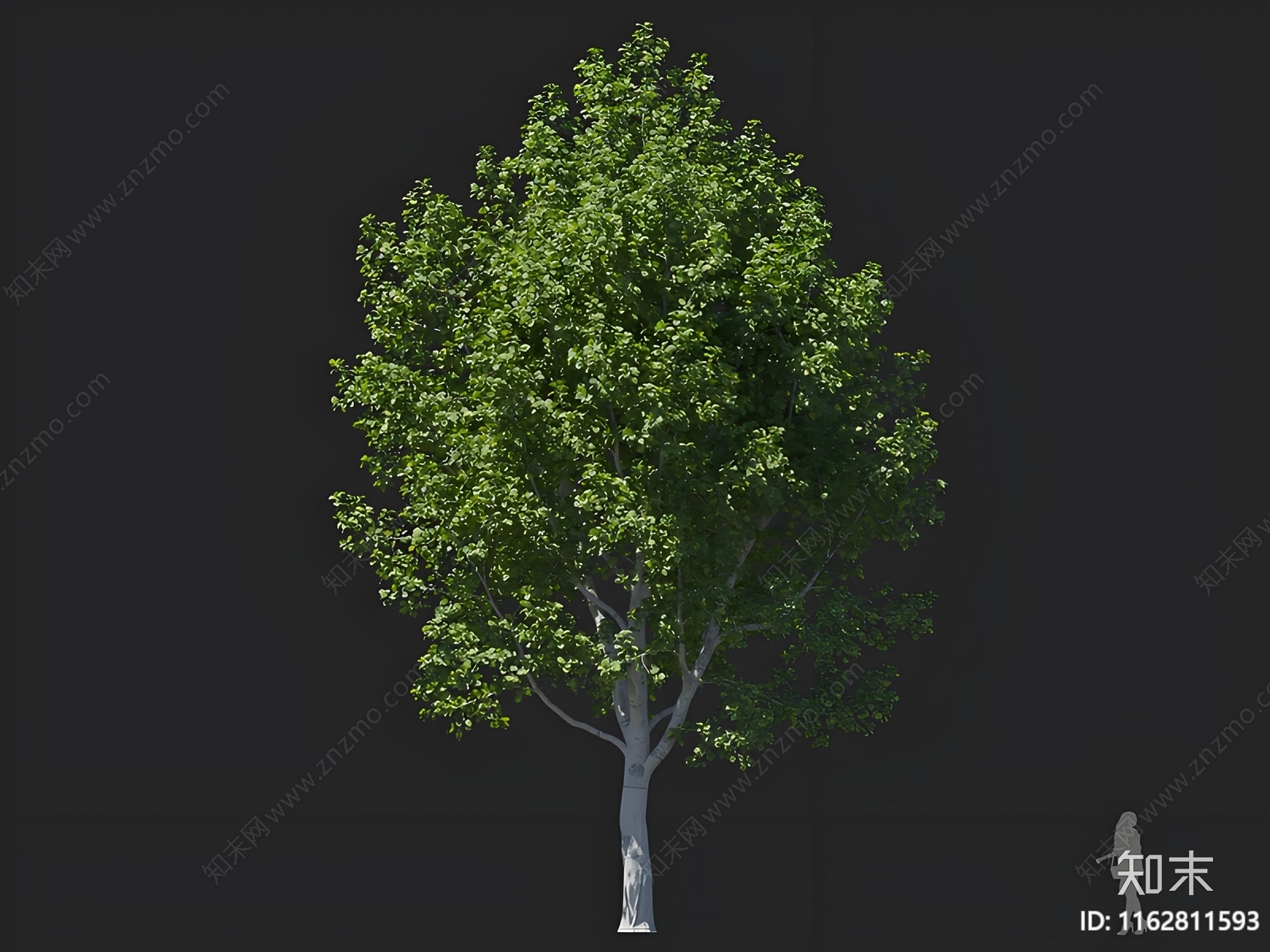 乔木3D模型下载【ID:1162811593】