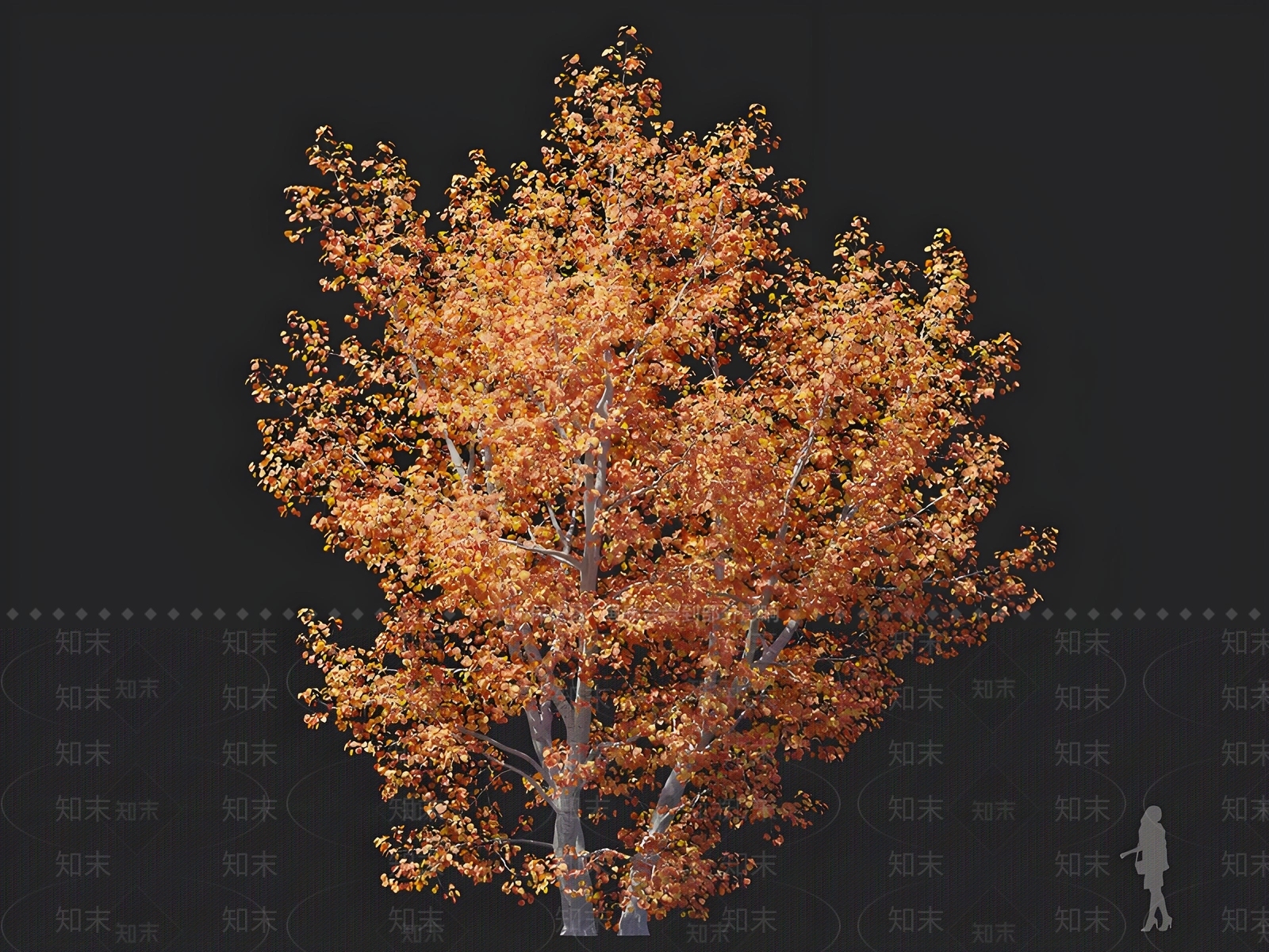 乔木3D模型下载【ID:1162811673】