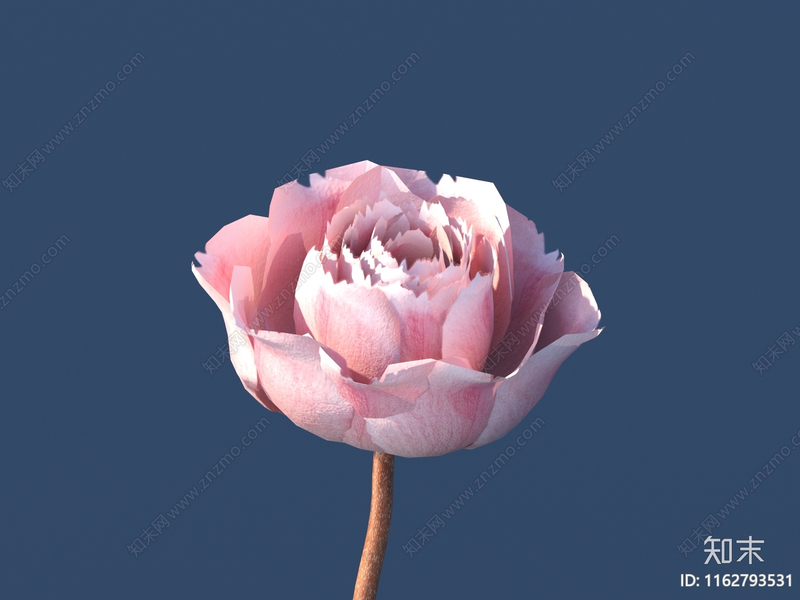 花3D模型下载【ID:1162793531】