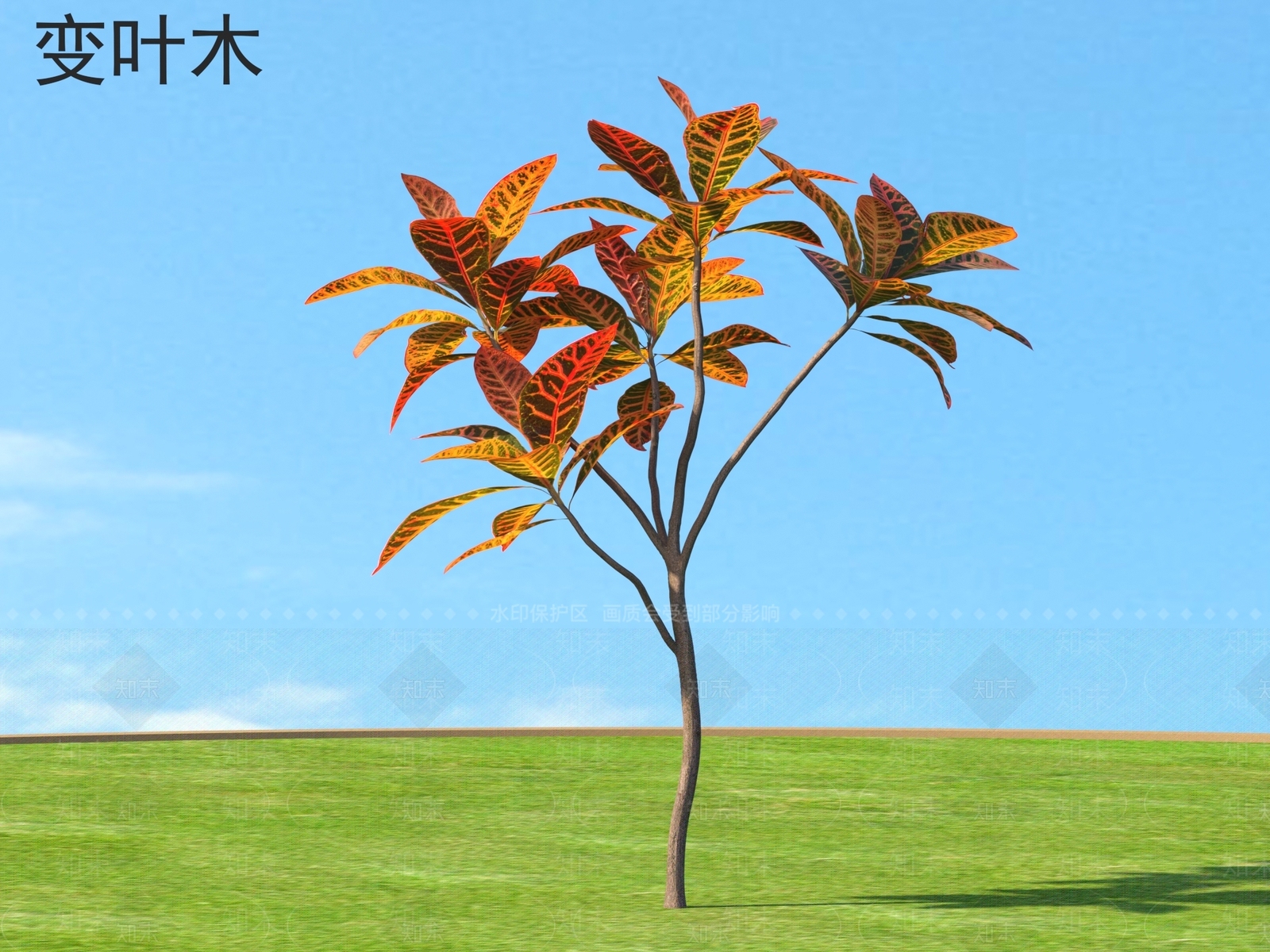 灌木3D模型下载【ID:1162834098】
