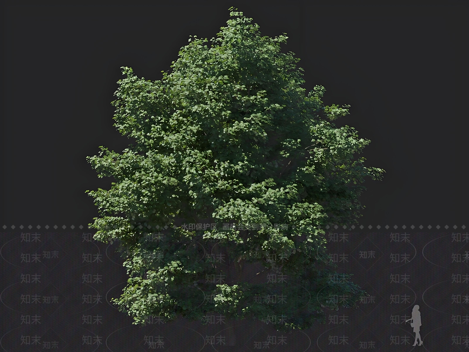 乔木3D模型下载【ID:1162836372】