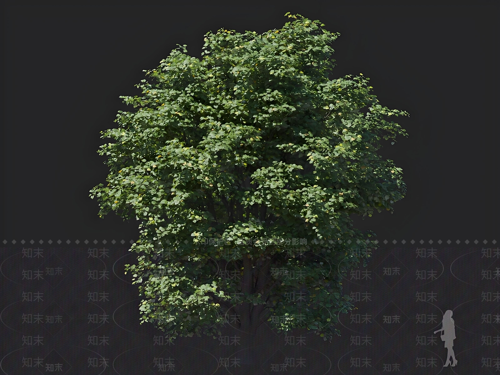 乔木3D模型下载【ID:1162836375】