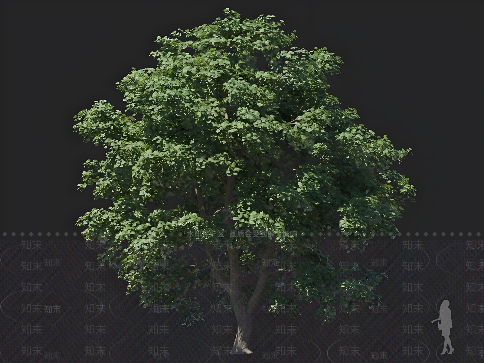 乔木3D模型下载【ID:1162836410】
