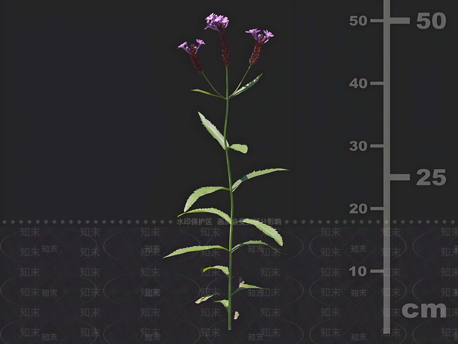 草3D模型下载【ID:1162856555】
