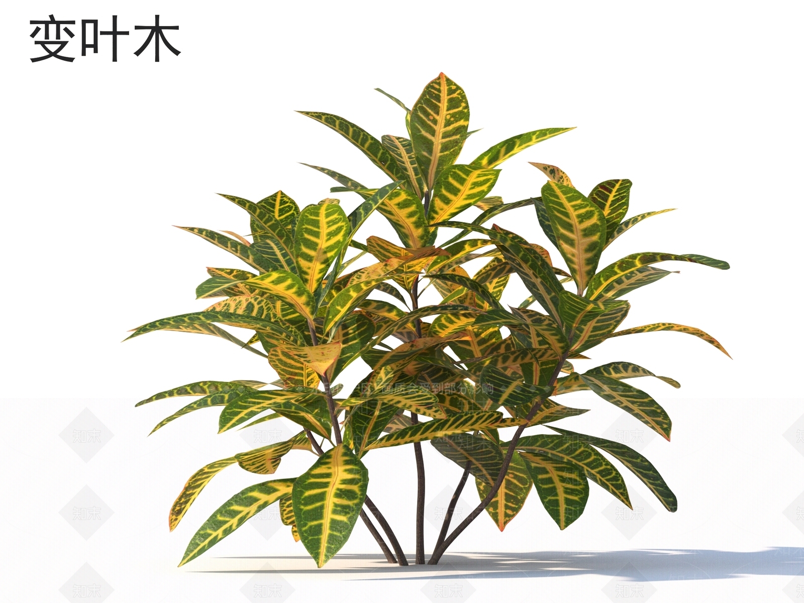 灌木3D模型下载【ID:1162861326】
