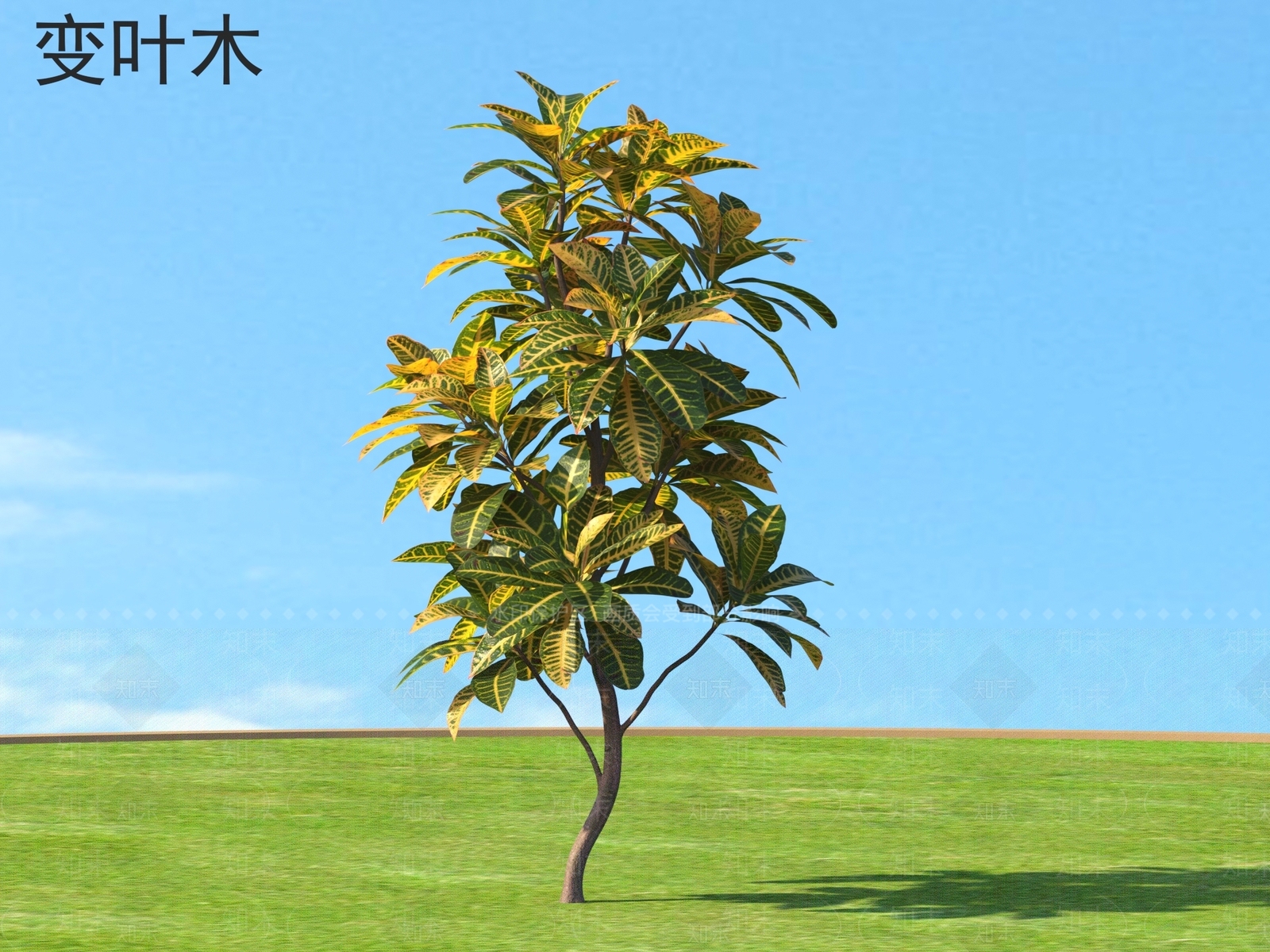 灌木3D模型下载【ID:1162861612】