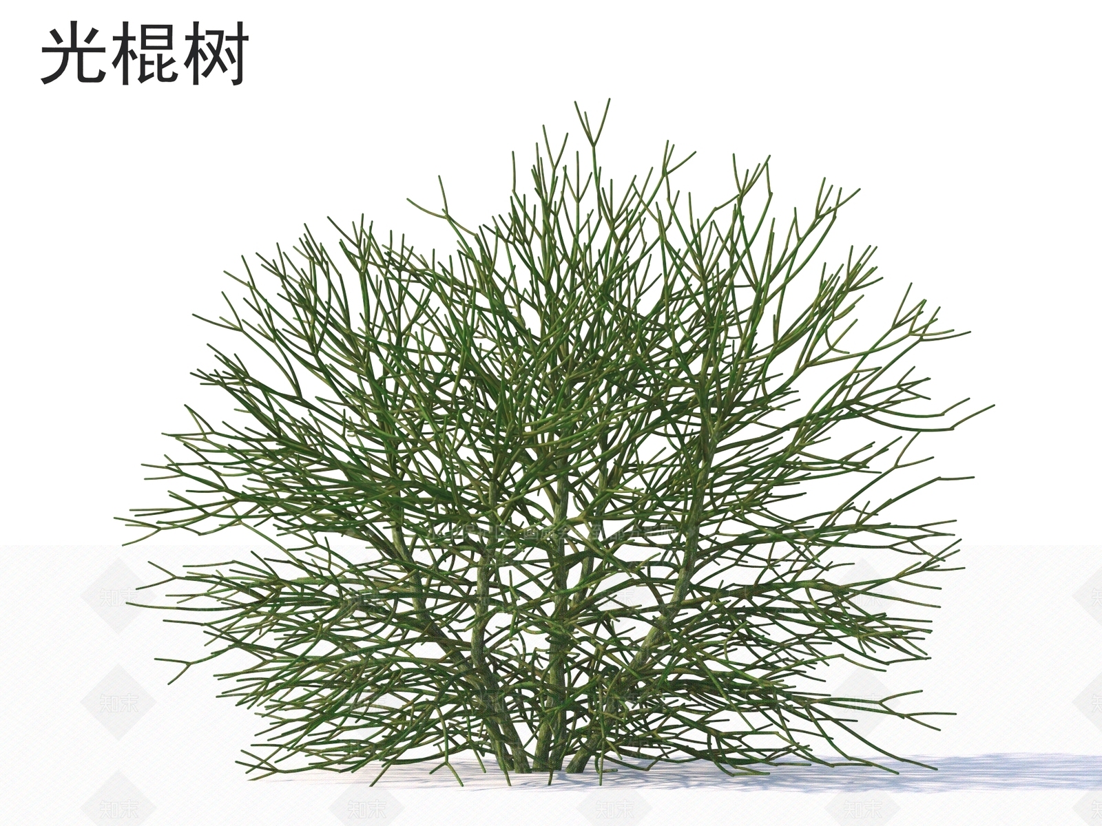 灌木3D模型下载【ID:1162861890】