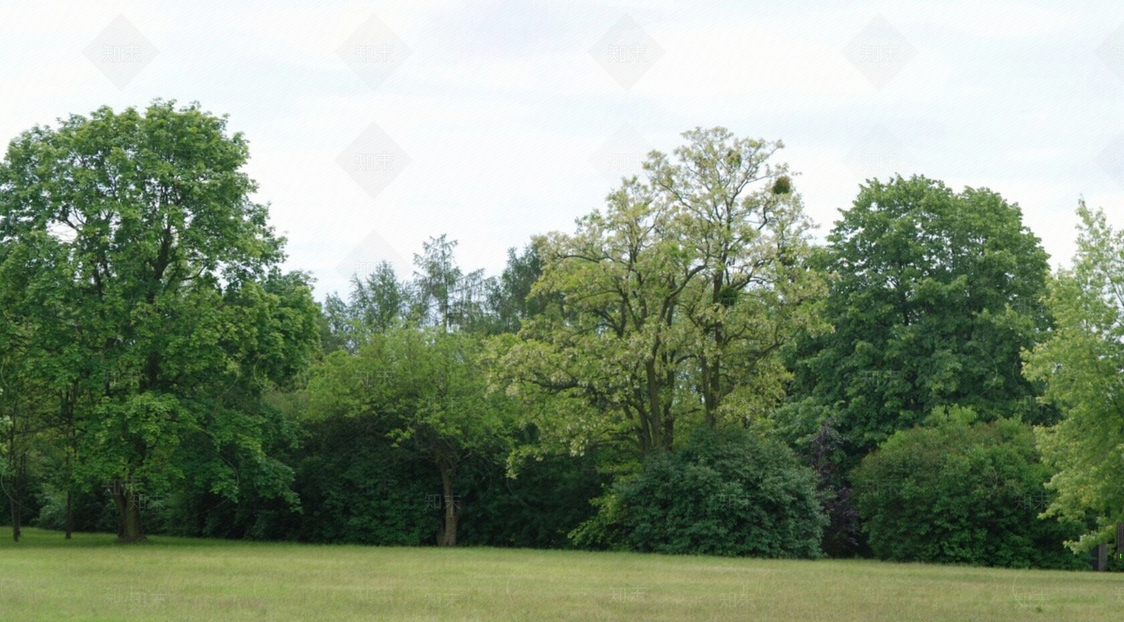 现代其它外景贴图下载【ID:1162907893】