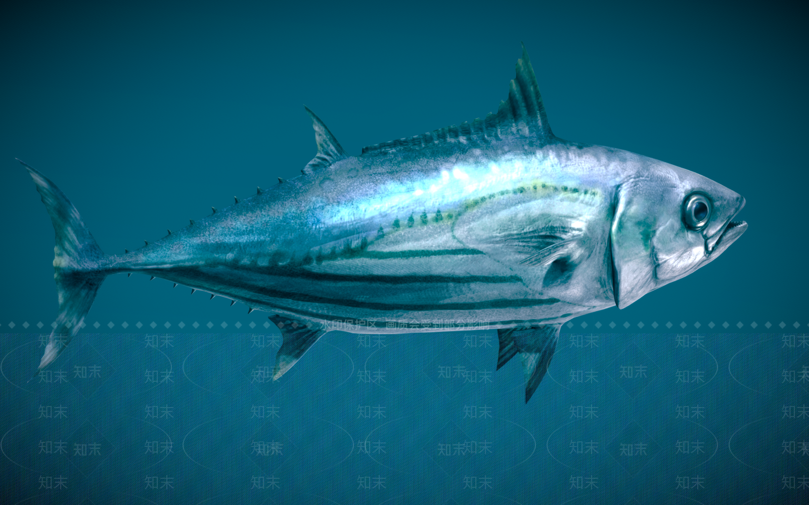 水生类动物3D模型下载【ID:1162930551】