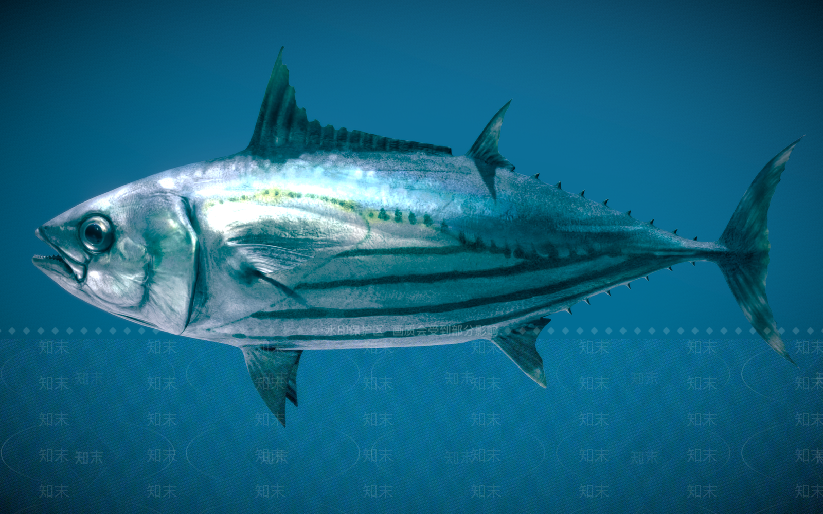 水生类动物3D模型下载【ID:1162930551】