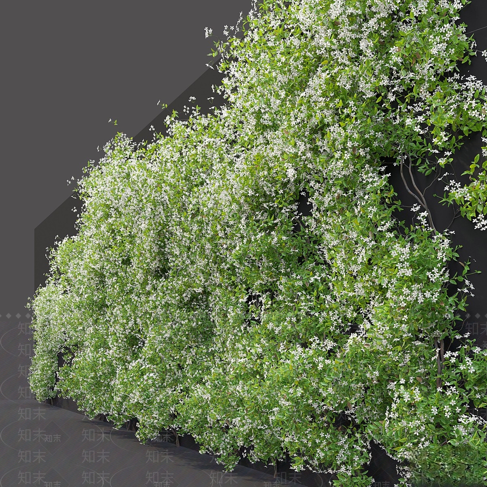 植物堆3D模型下载【ID:1162942728】