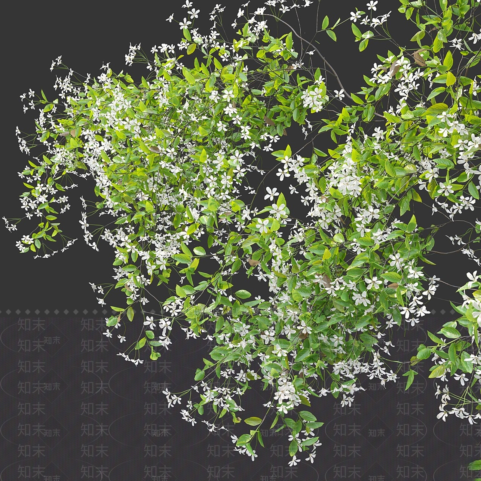 植物堆3D模型下载【ID:1162942728】