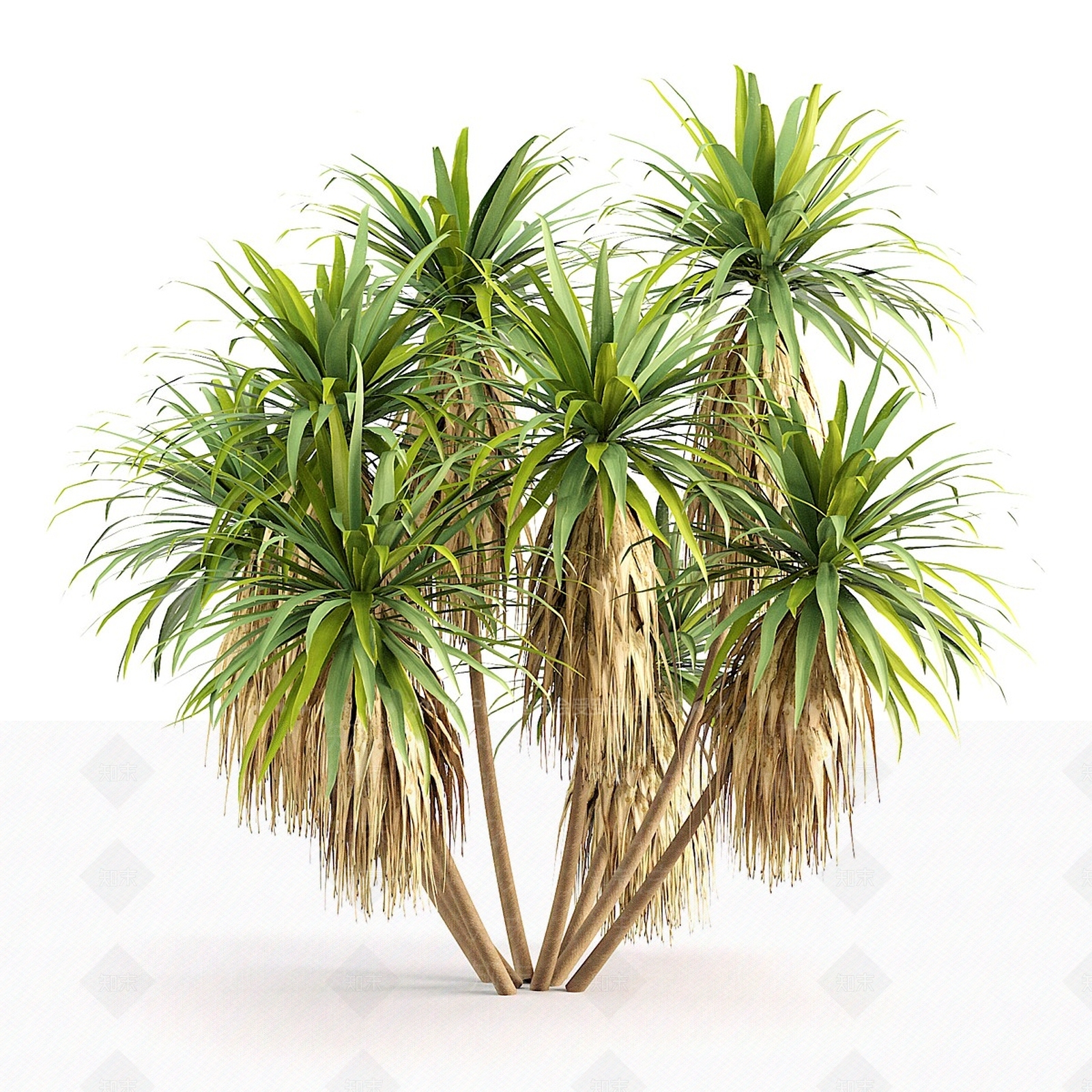 景观树3D模型下载【ID:1162944285】