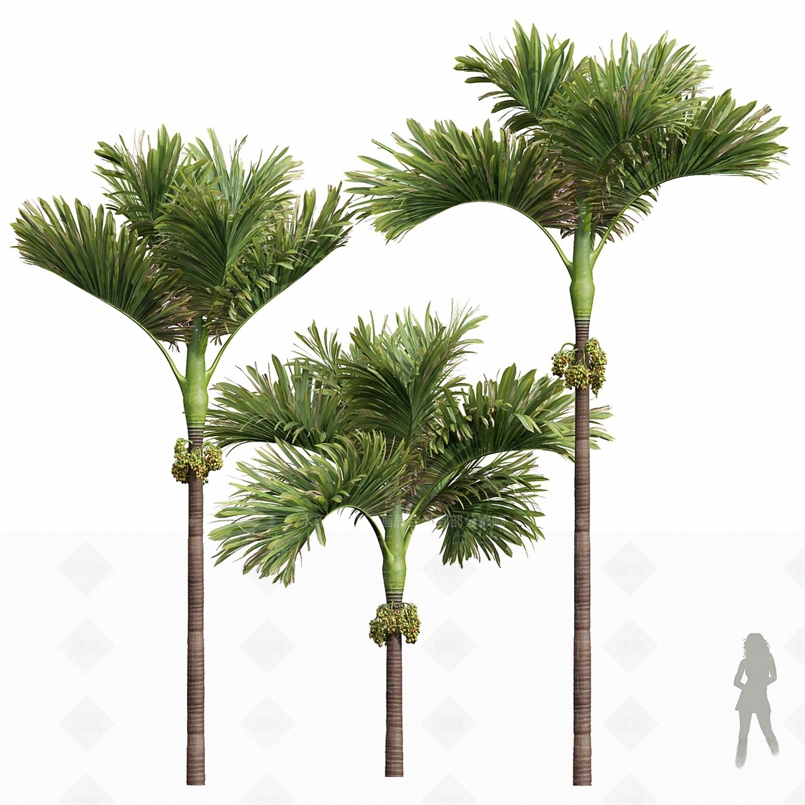 景观树3D模型下载【ID:1162950455】