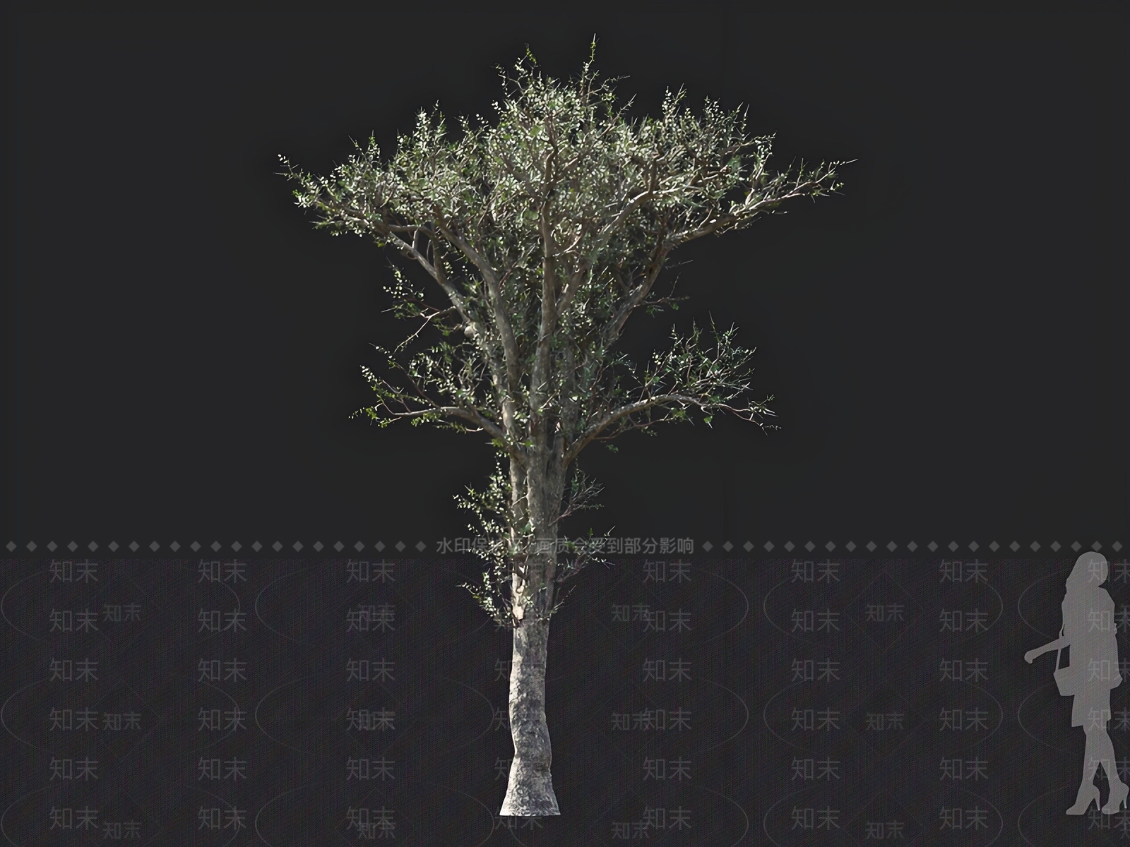 乔木3D模型下载【ID:1162991868】
