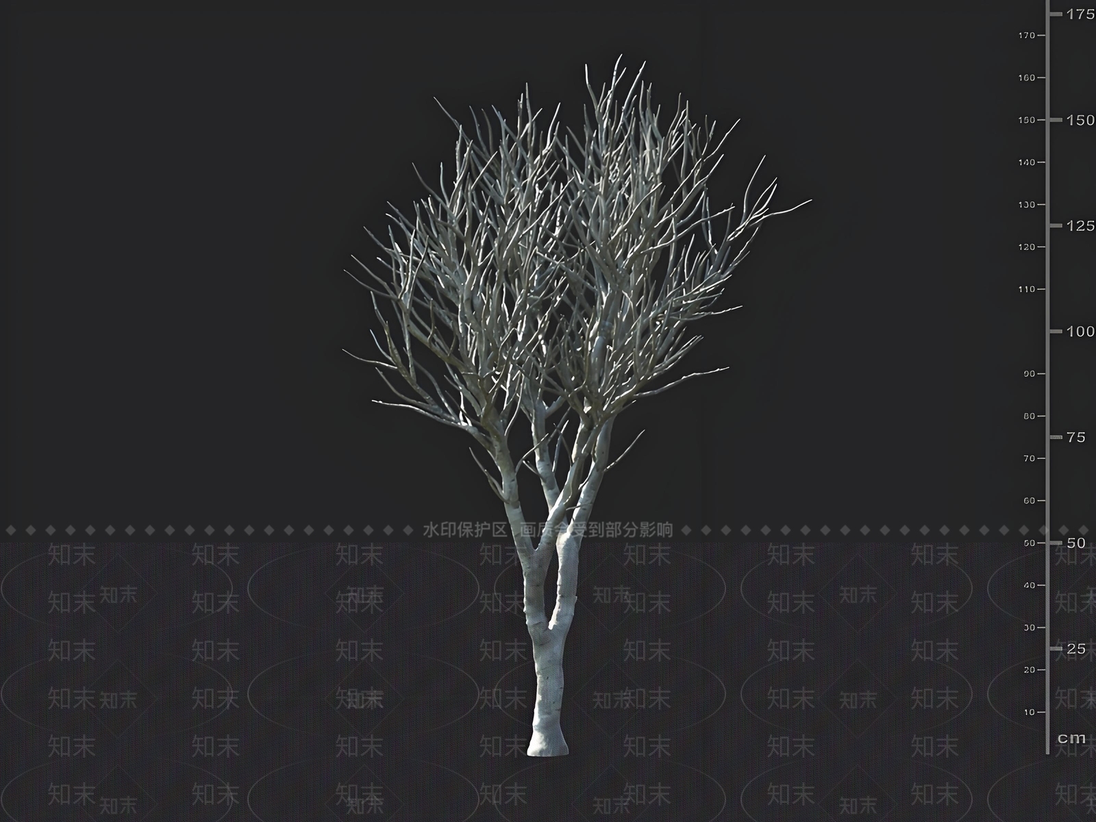 乔木3D模型下载【ID:1162992148】