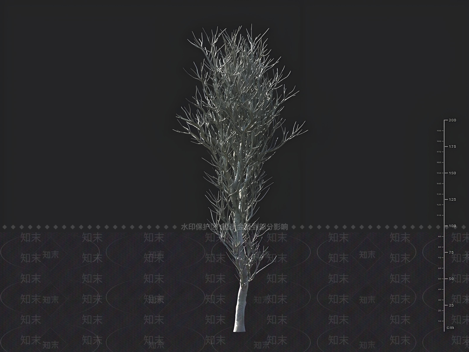 乔木3D模型下载【ID:1162992407】
