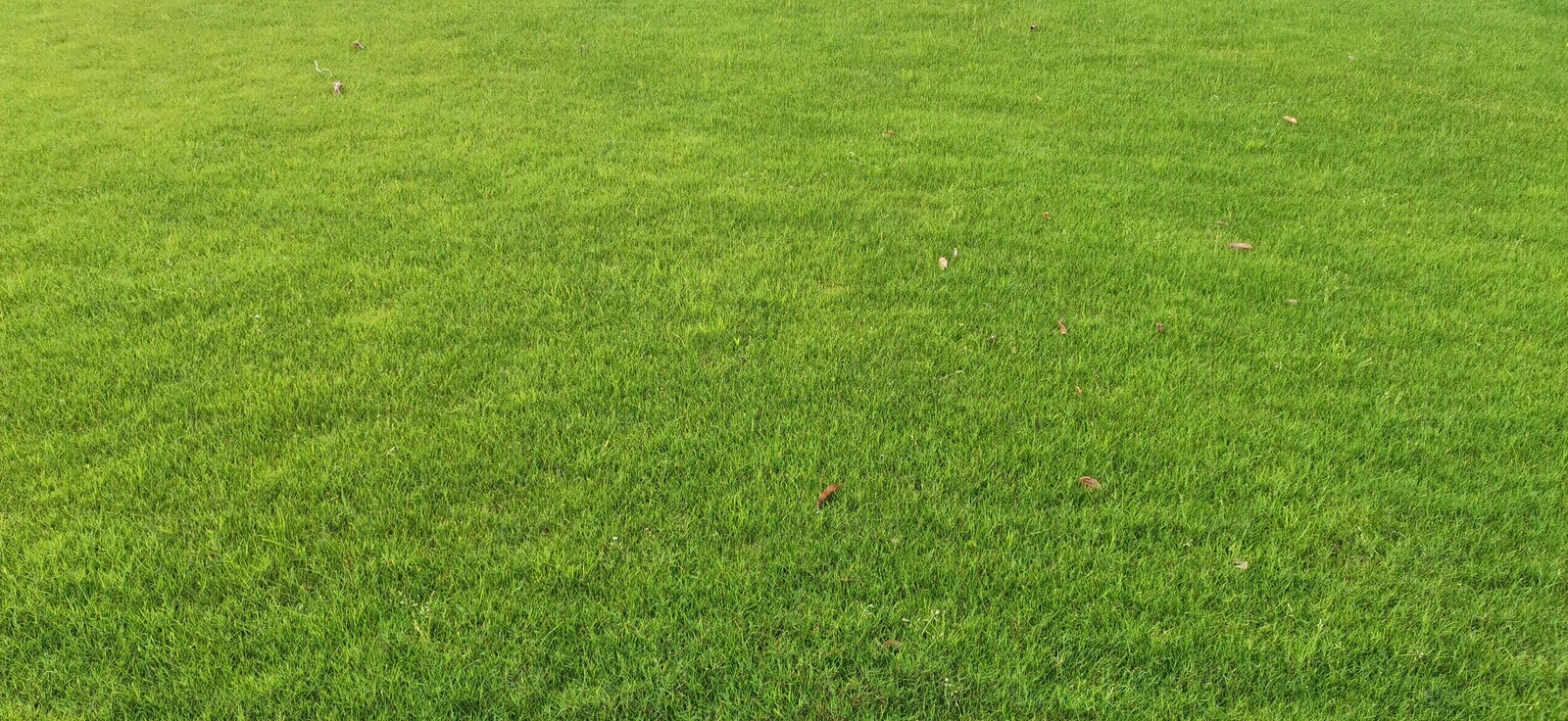 现代风景贴图下载【ID:1163005842】