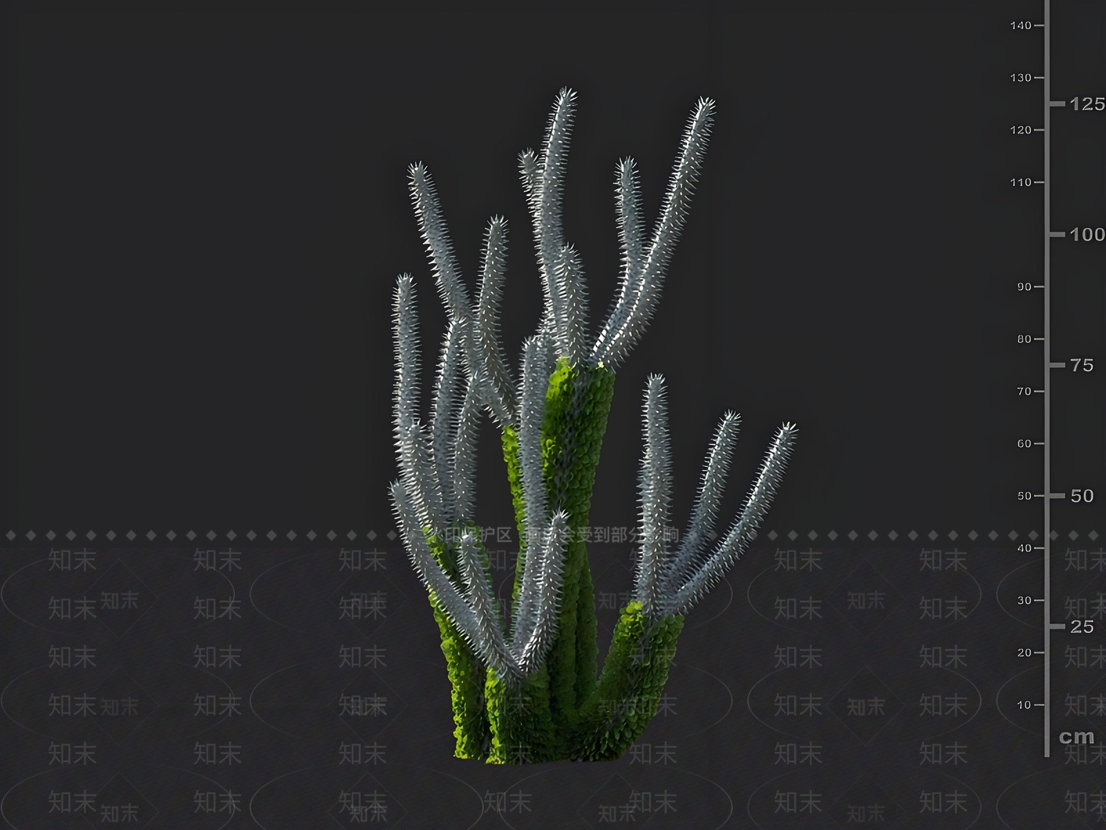 景观树3D模型下载【ID:1163011824】
