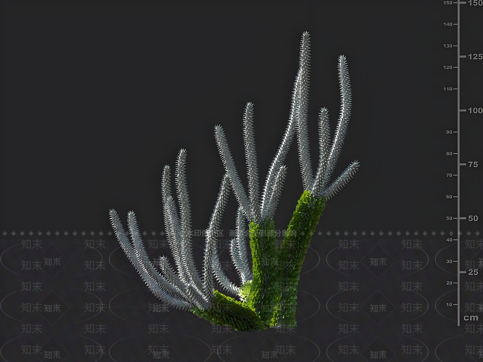 景观树3D模型下载【ID:1163011990】